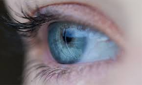 Kosten Trifokallinsen